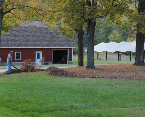 A man blowing leaves from the ground with a red barn in the background and solar panels.